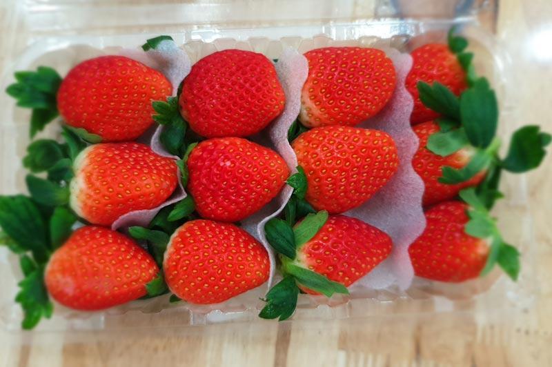   List some of the most delicious strawberry varieties today