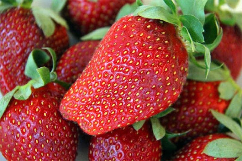   List some of the most delicious strawberry varieties today