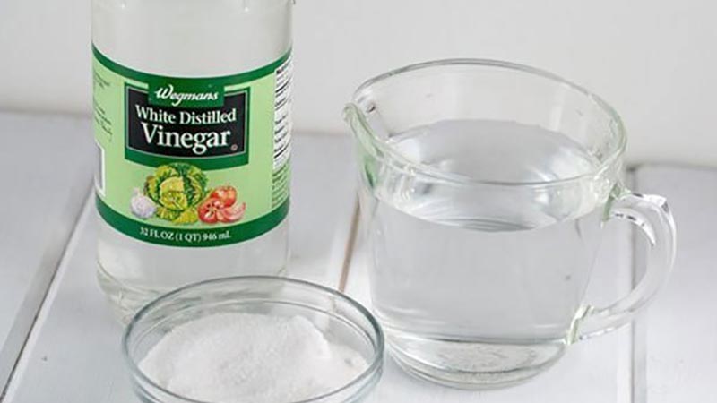 Repel ants with vinegar