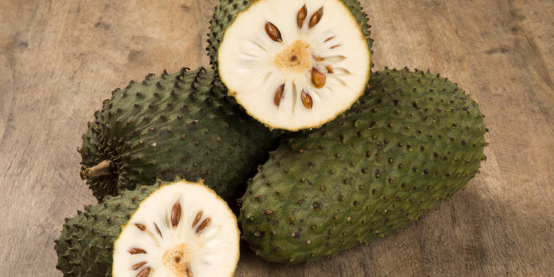 Using soursop in moderation helps prevent constipation, fetal malformations and miscarriage