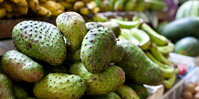 Use soursop, remember not to use more than 250g / time and 1 time / week. 