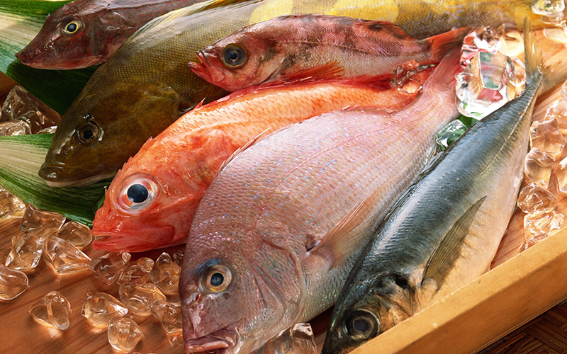 Fish is a food that is rich in beneficial omega-3 fatty acids, which are essential in the brain development of children