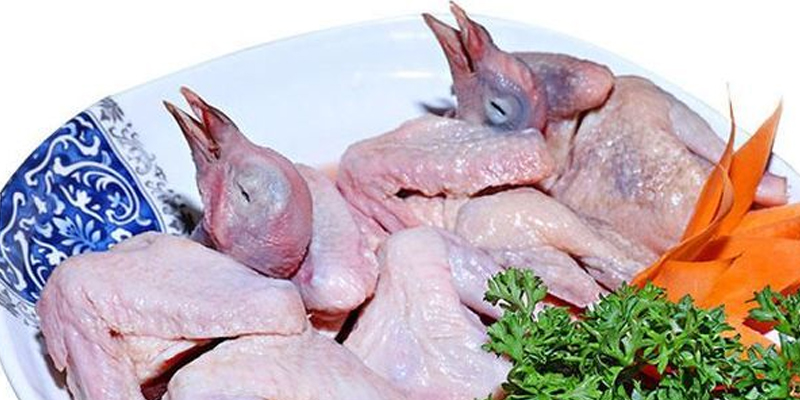Pigeon meat is high in protein, but low in cholesterol.