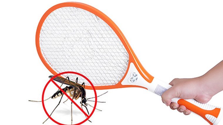 Products to help prevent mosquitoes and ants should be used in the family