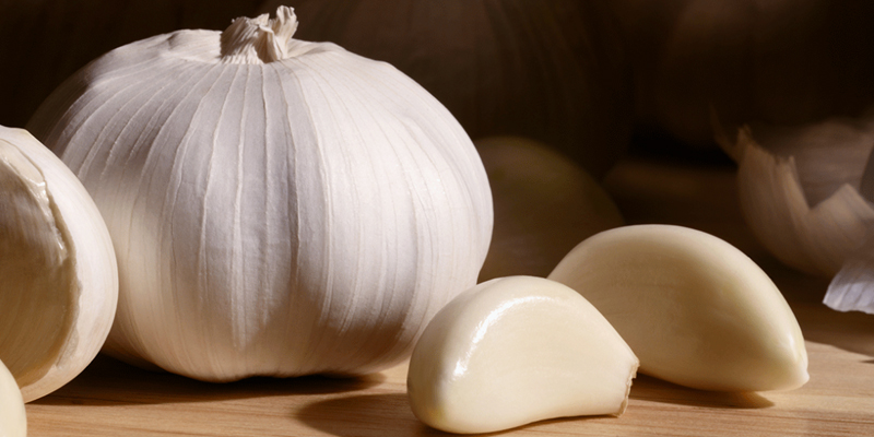 Garlic also contains high levels of plant amino acid compounds that have antibacterial and antioxidant properties, which help in quick deworming.