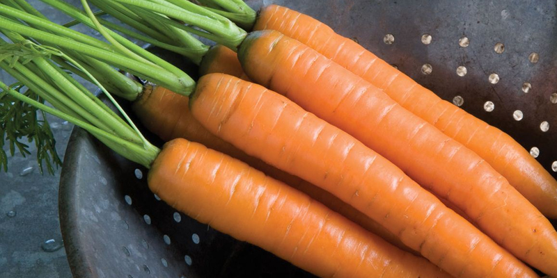 Carrots improve the digestive system, helping to kill worms quickly