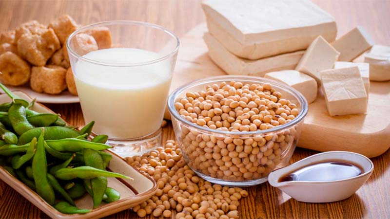 Plant protein in soybeans contains all the amino acids necessary for the body.