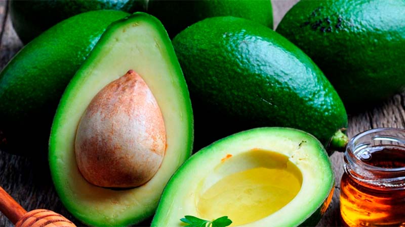 Avocados are rich in Protein and Vitamin B6 for healthy fetal development