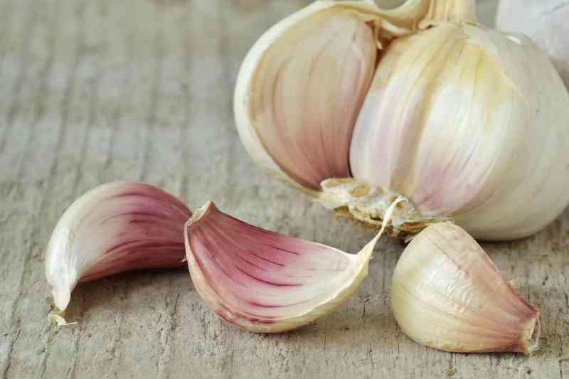Weaning with garlic