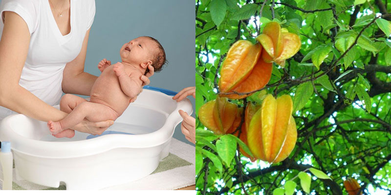Use star fruit leaves to bathe babies