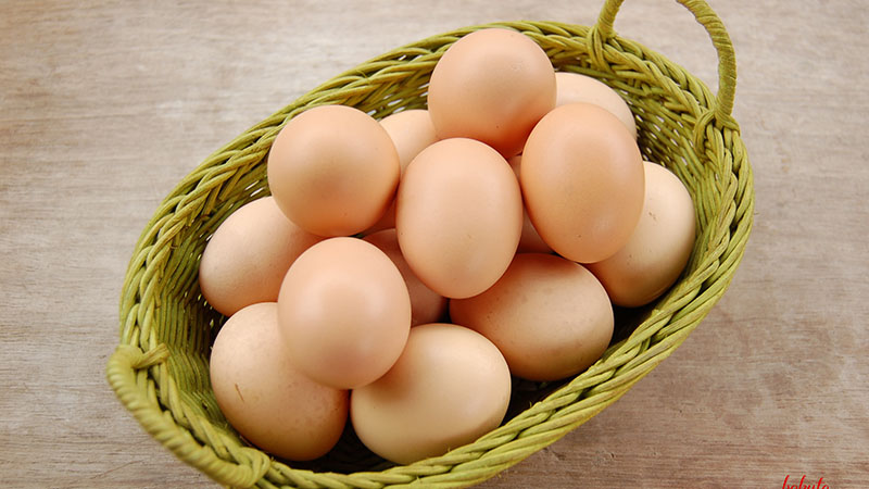 Eggs are a very nutritious food and also a favorite food of children