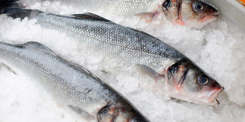 Some types of marine fish contain harmful levels of mercury