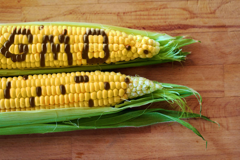 Summary of the most popular genetically modified foods today