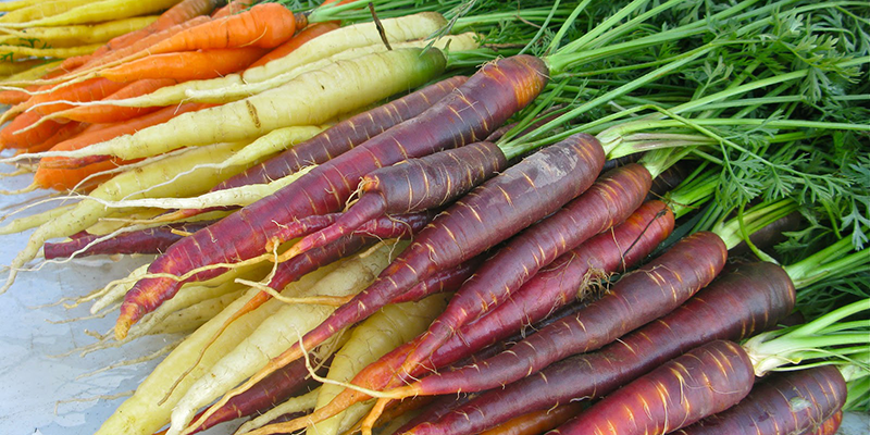 Children should eat beets and carrots in moderation